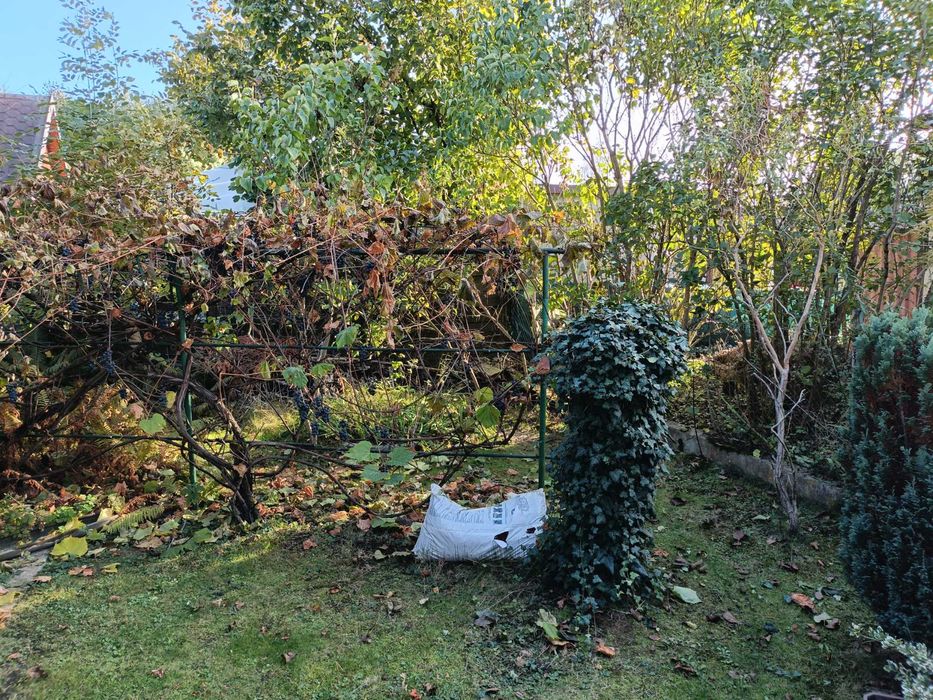 działka ROD Wypalanki