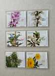 Série nº 2711/16 – Plantas da Floresta Laurissilva da Madeira 2000