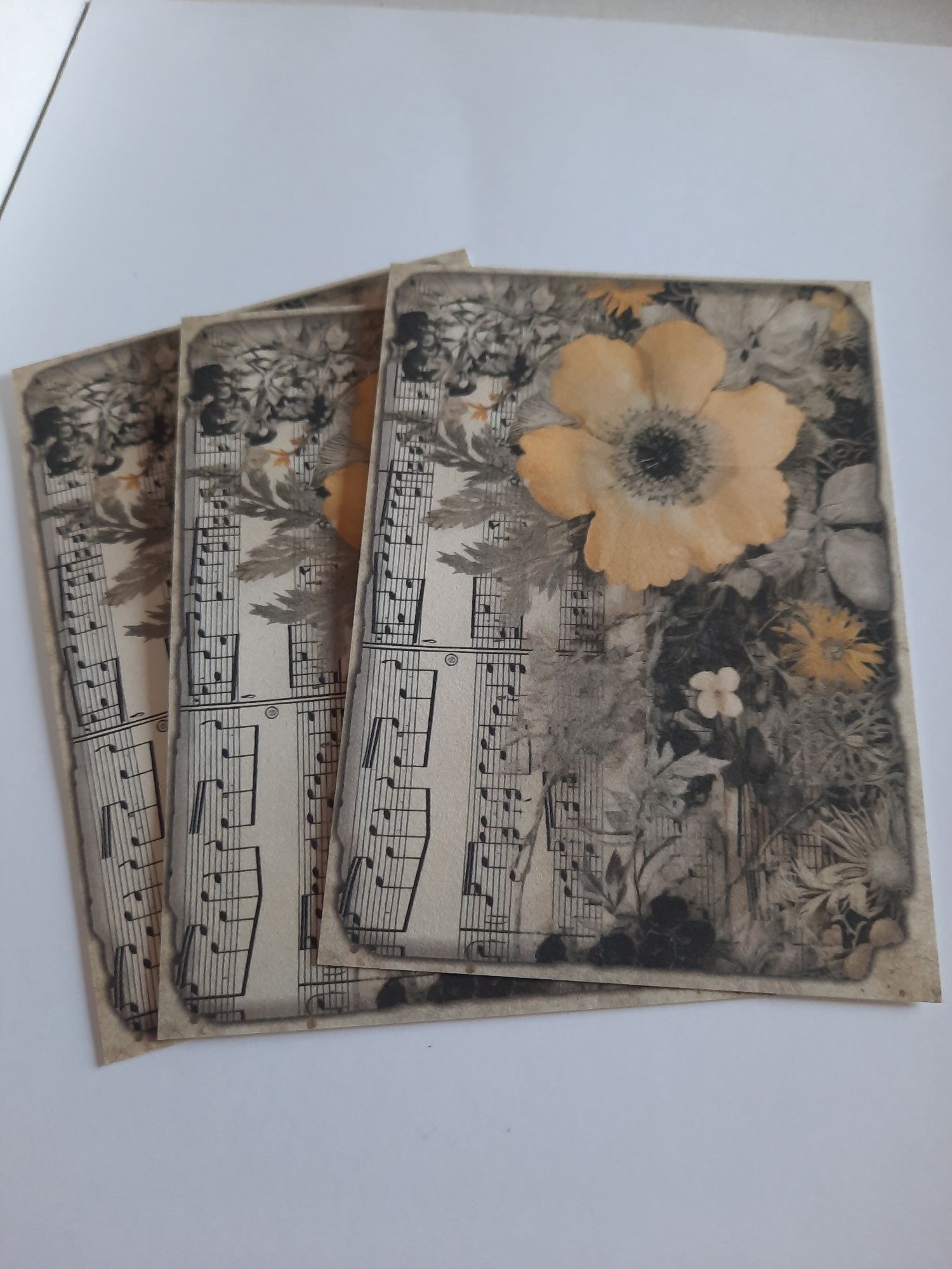 10x 3 folhas de papel para artesanato e decoração.  Estampas florais.
