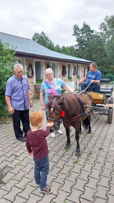 Sprzedam klaczkę kuca