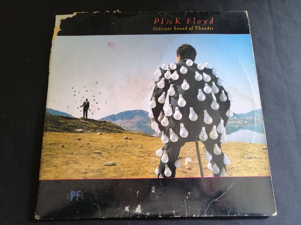 Pink Floyd "Delicate sound of thunder" Duplo posso trocar p CDS