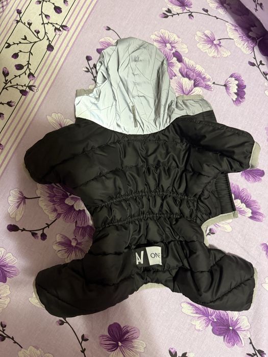 Комбинезон на чихуахуа или собак мелких пород