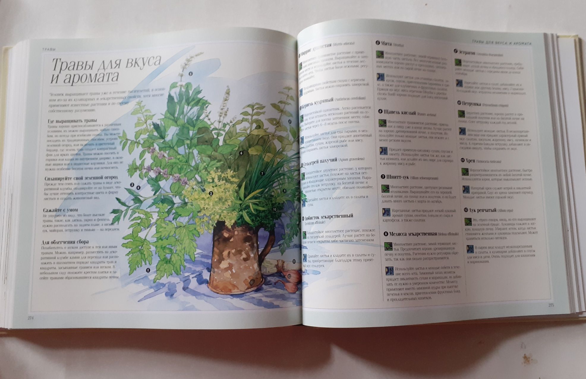 Настольная книга садовода. 1000 советов и идей для вашего сада.