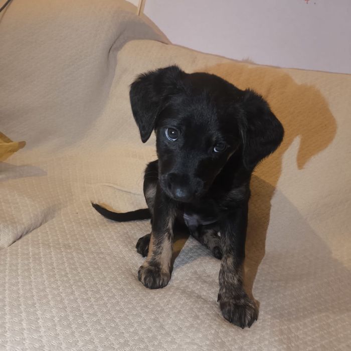 Para doação responsável