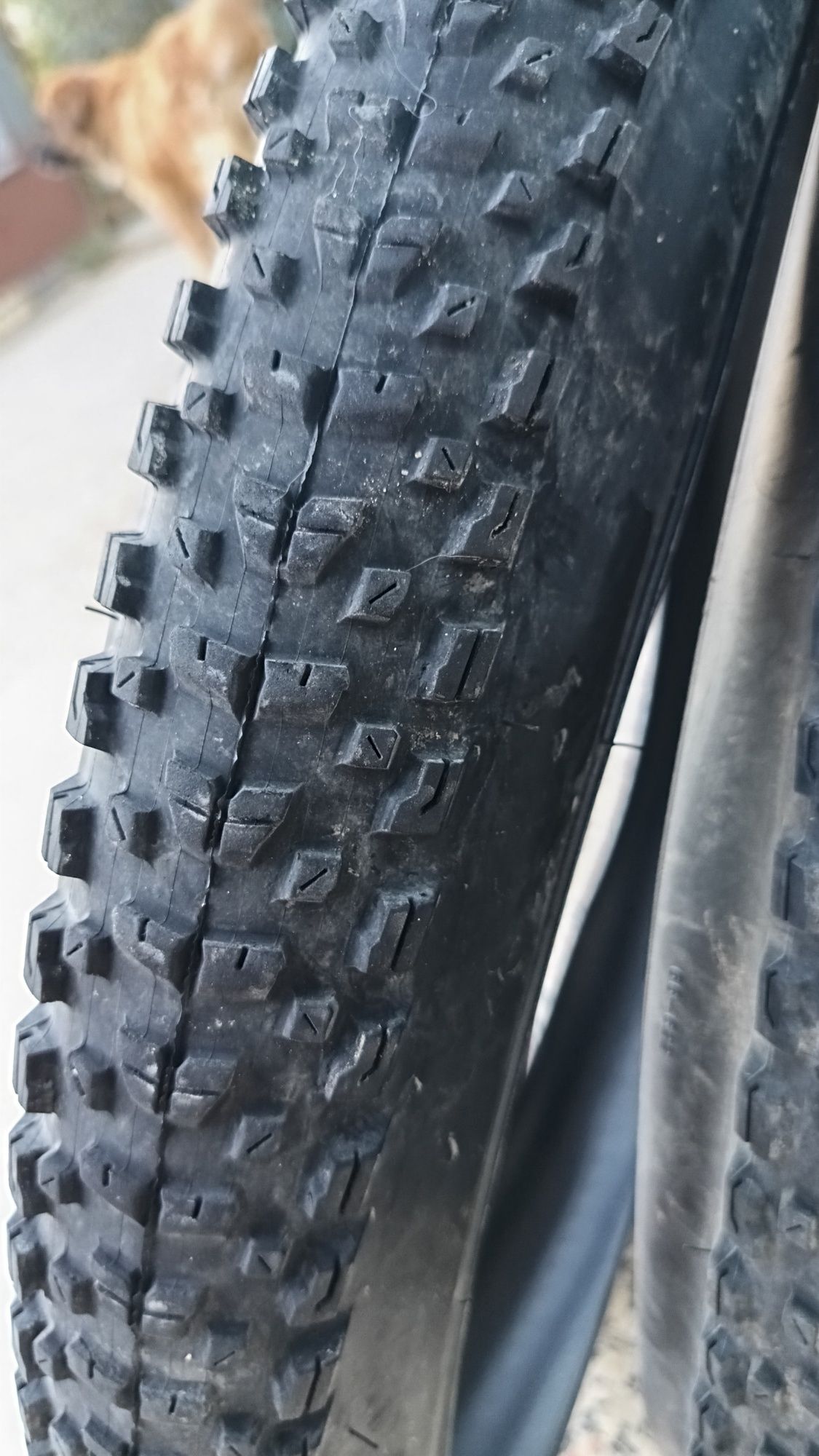 Pneus BTT - Maxxis Rekon 29 x 2.60