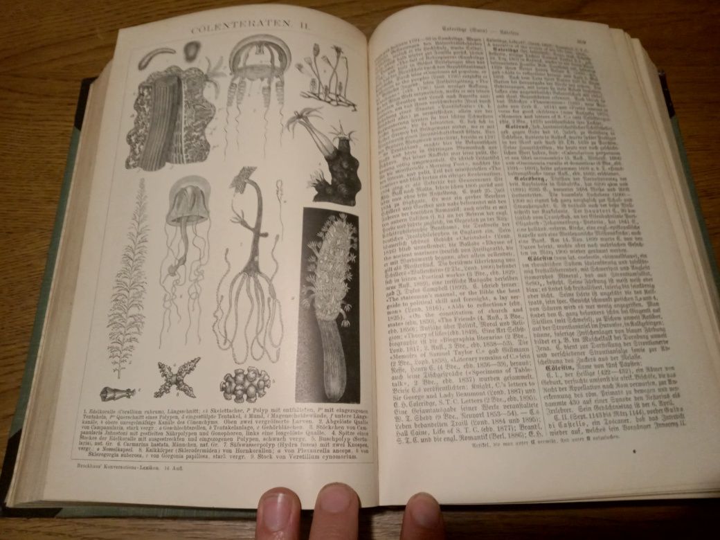 Brockhaus konversationslexikon IV