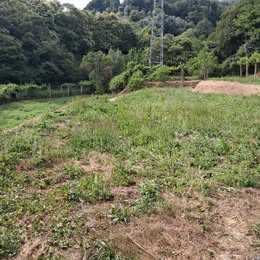 Vendo terreno rustico com casa de apoio