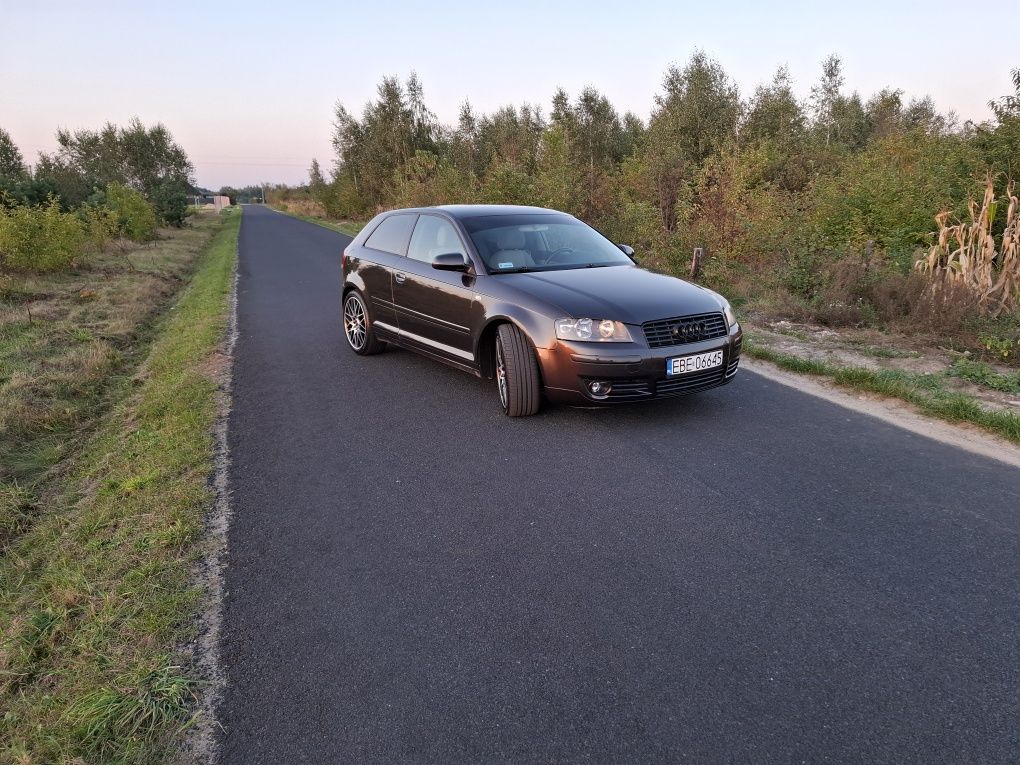Audi a3 8p 1.9tdi
