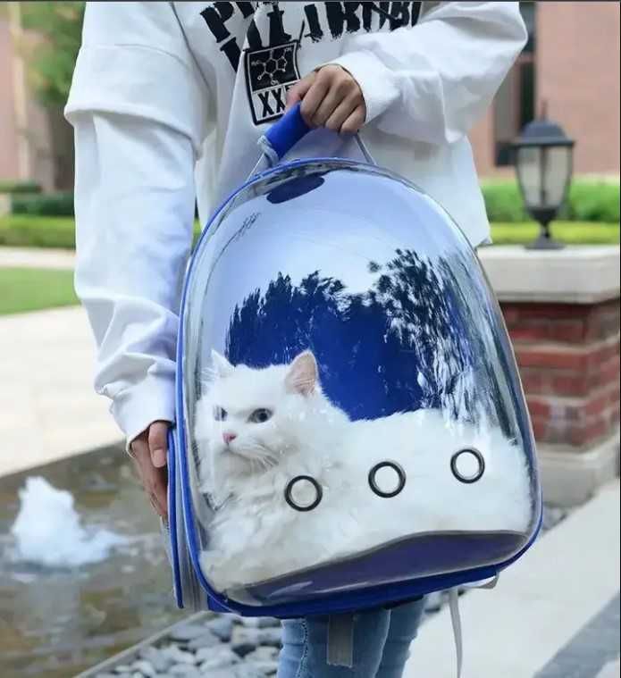Рюкзак-переноска для кота з прозорою стінкою