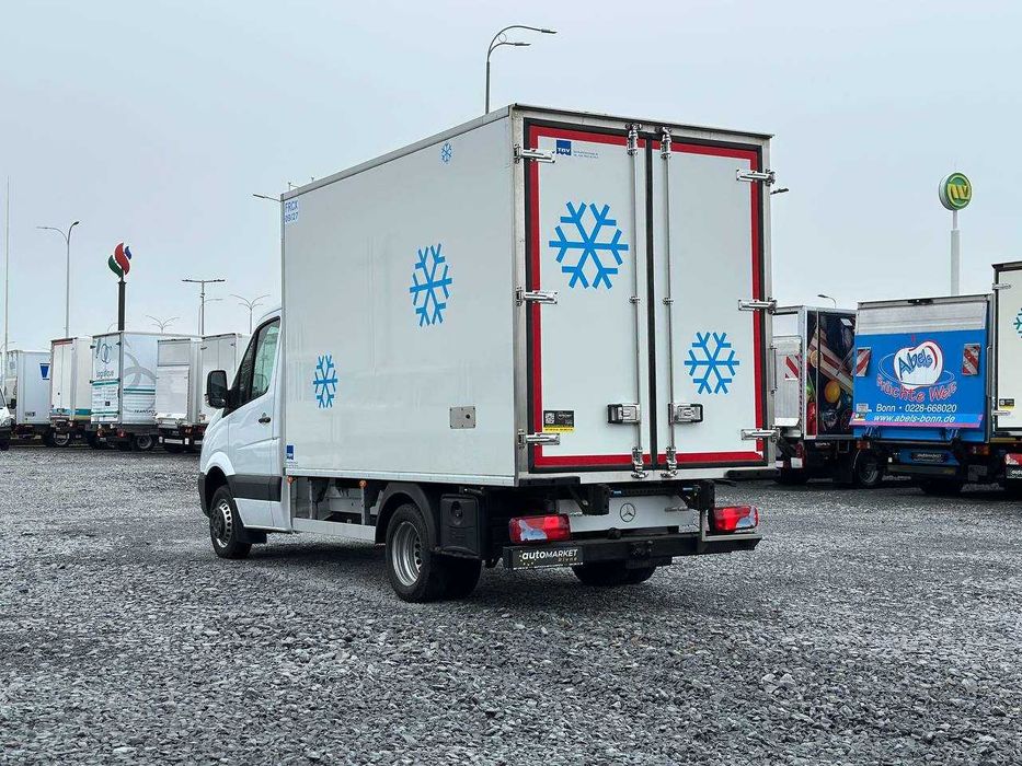 Mercedes-Benz Sprinter 2016p. Мясник