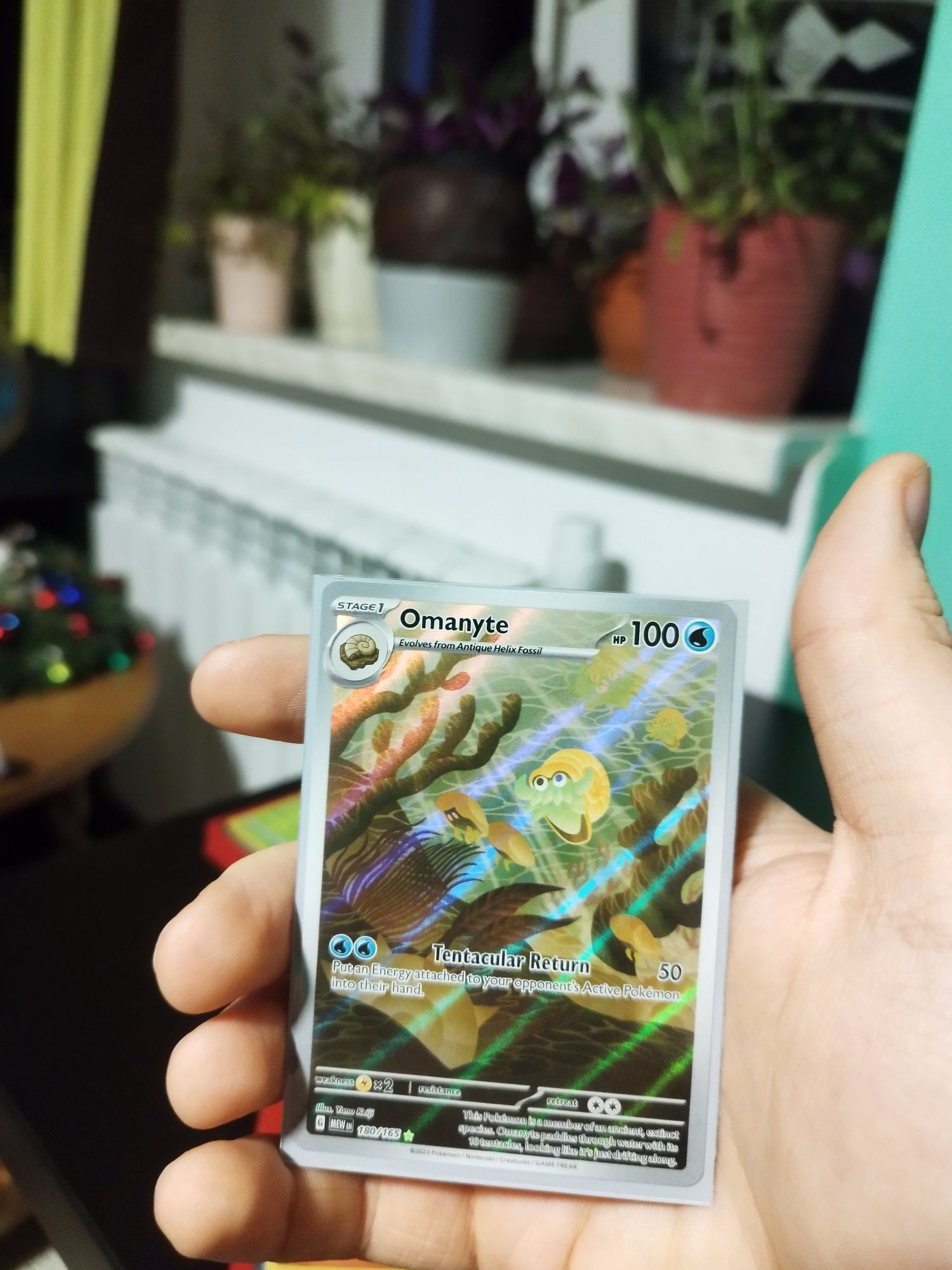 Karty pokemon        .