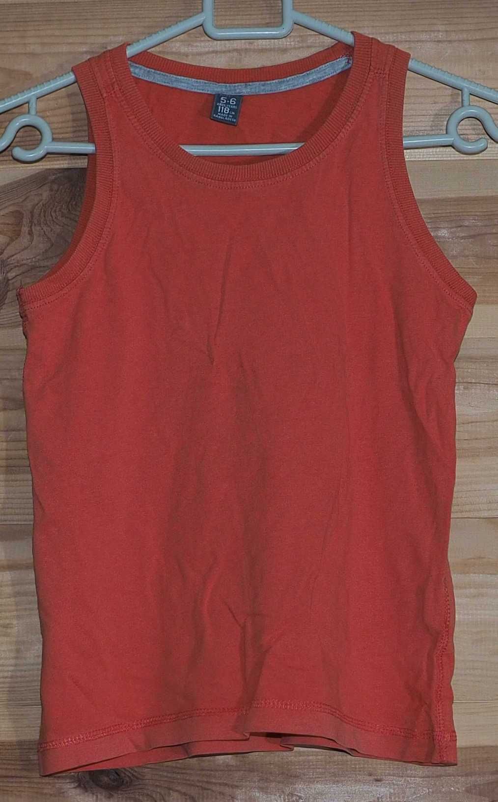 Koszulka ZARA KIDS rozmiar 116/ 118