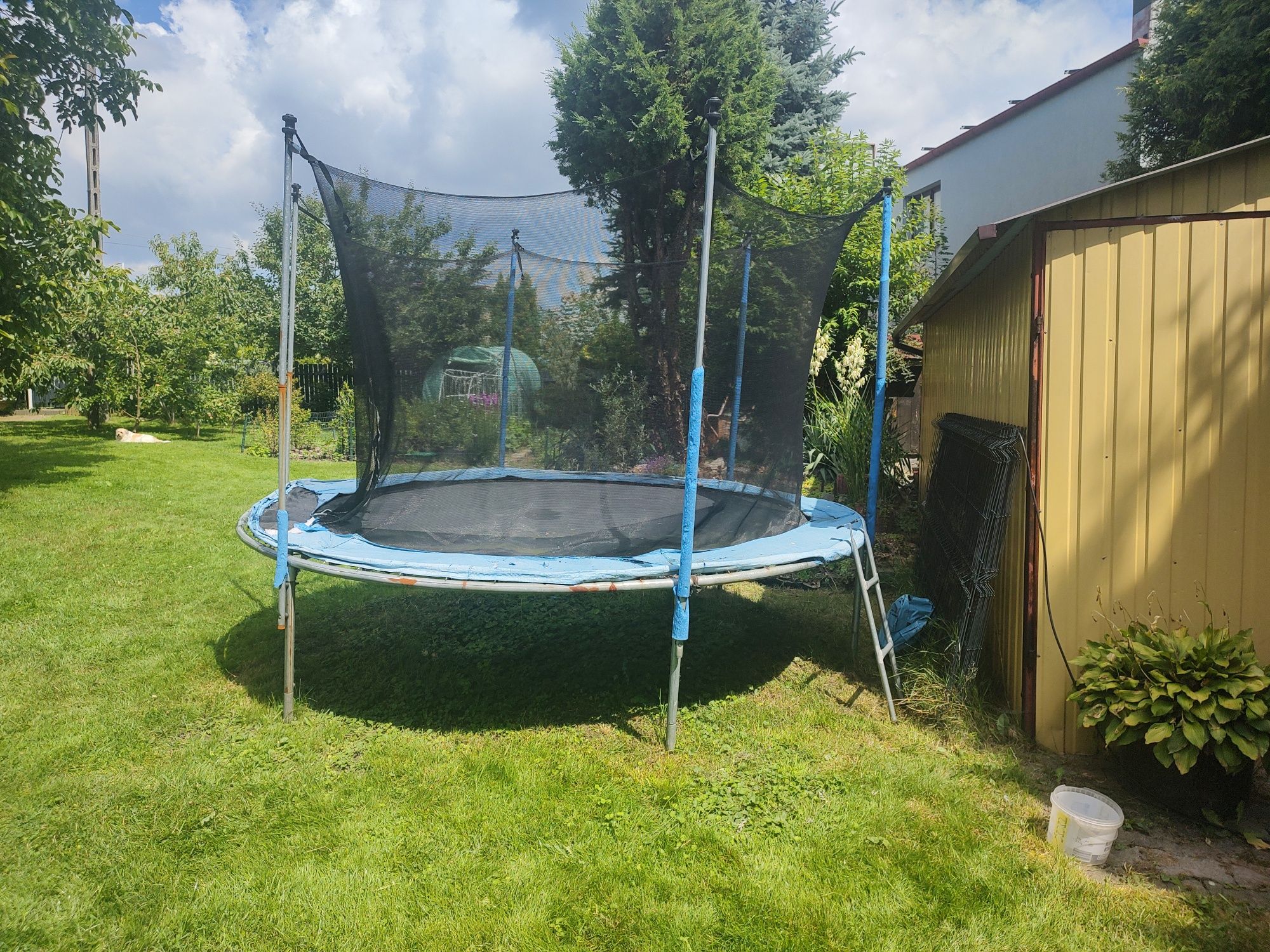 Trampolina 300 cm