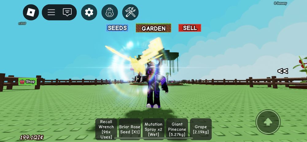 Єнот / Raccoon / Pets Grow a Garden Roblox