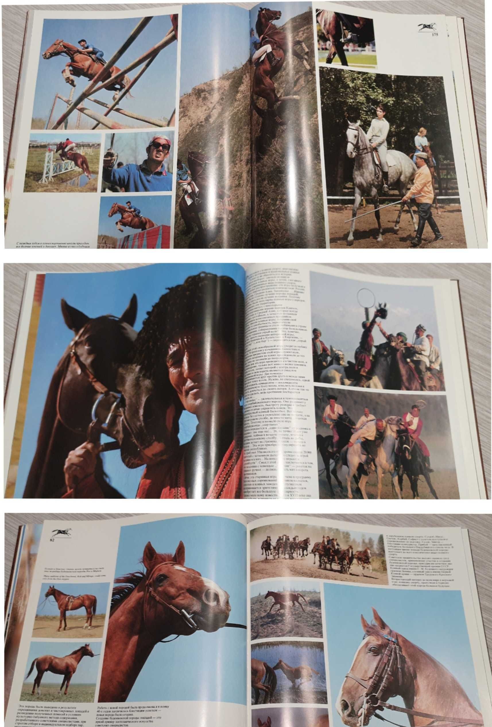 Книга  Ветер в гриве.Horses.Фотоальбом о лошадях