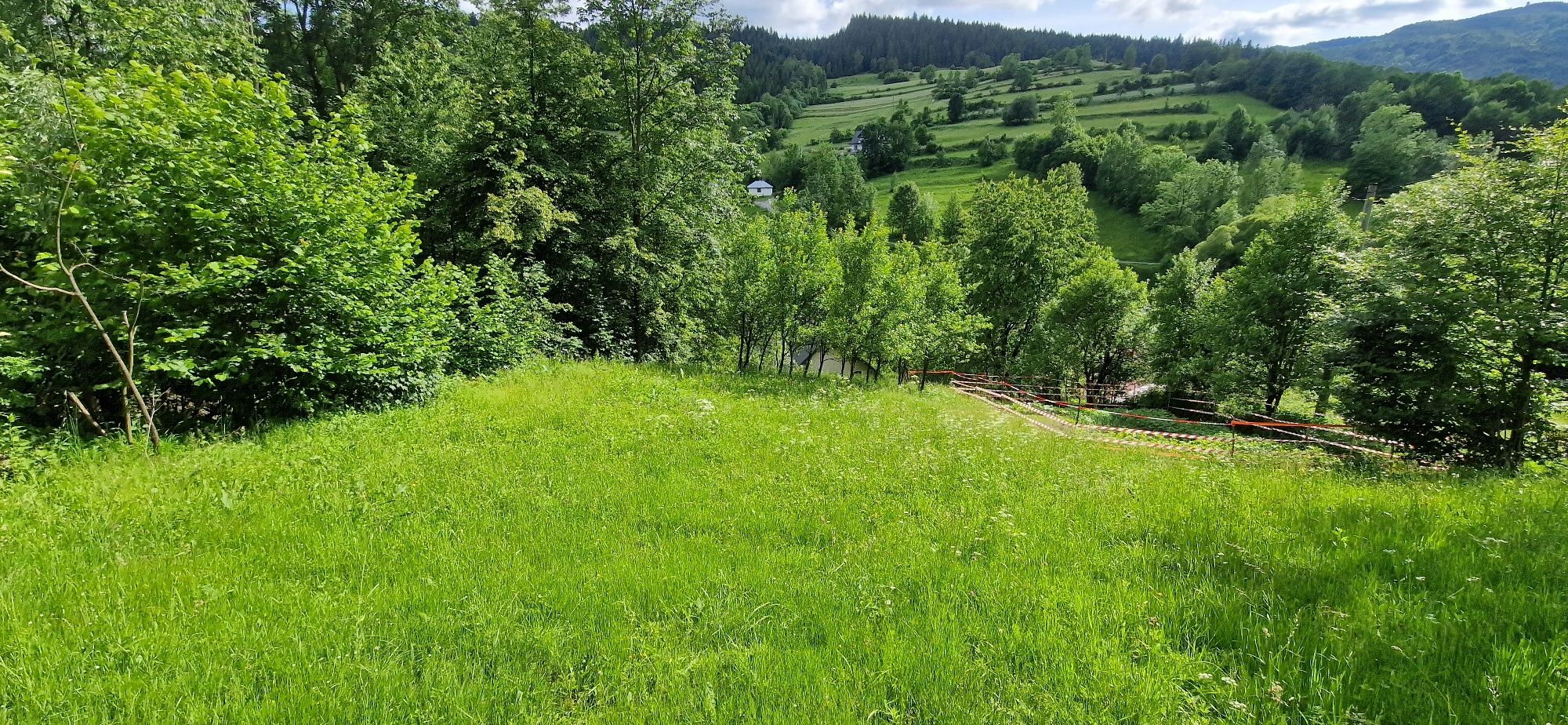Wykaszanie łąk, trawników.