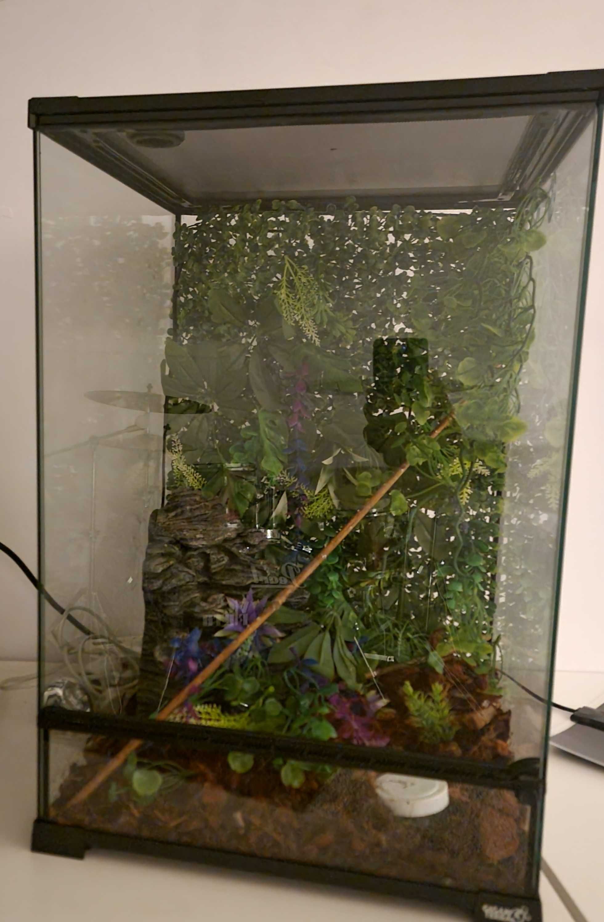 Terrário GiganTerra 60x40x40