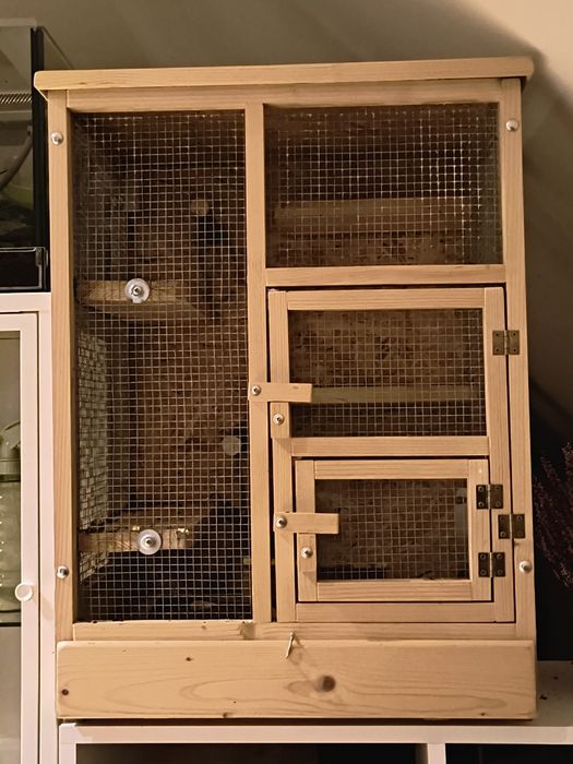 Klatka dla gryzoni + dwie młode popielice wiewiórki