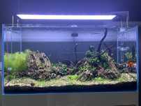 Conjunto de aquário de 225L