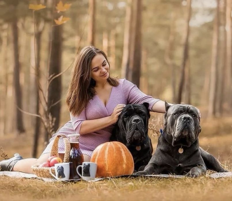 Крутезні щеночки-Cane corso
