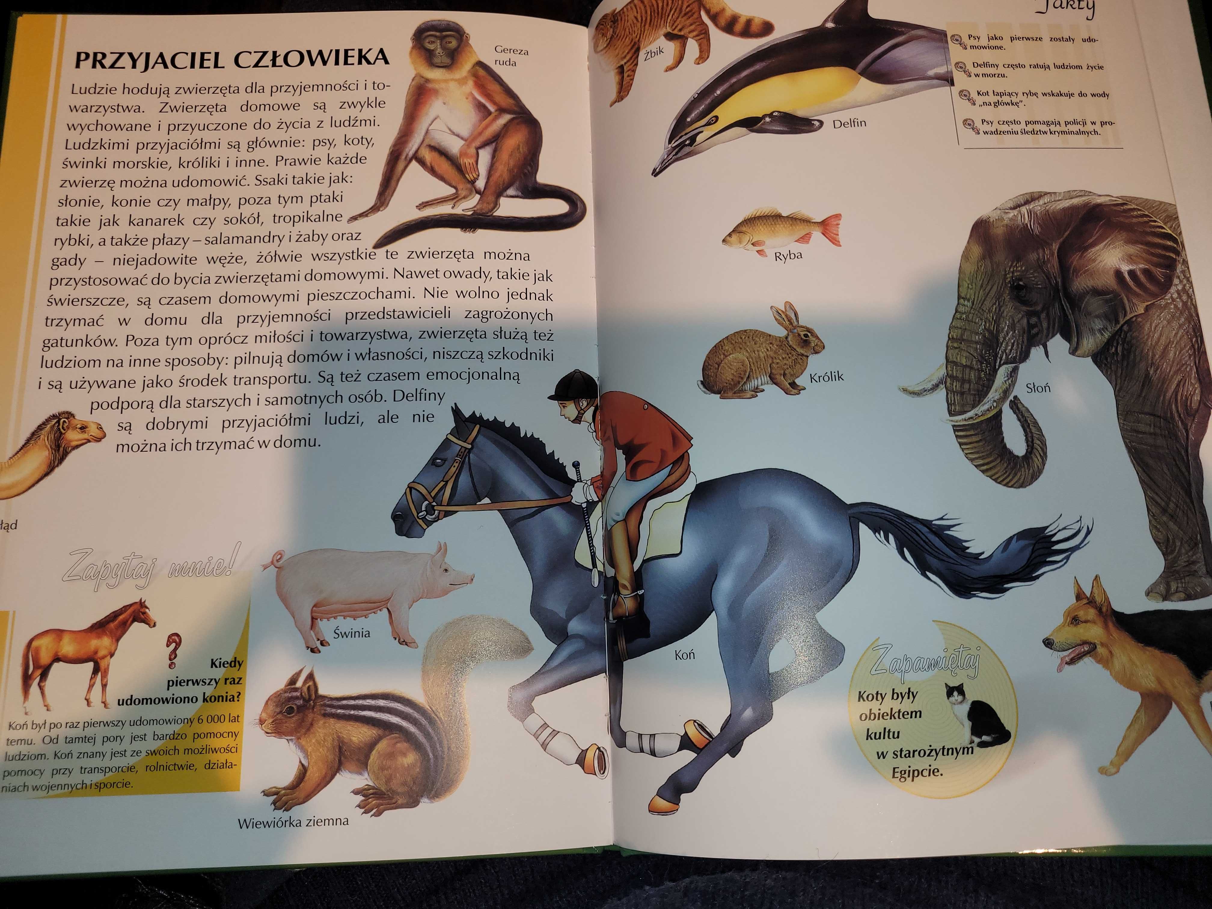 Książki "Co warto wiedzieć o krajach" i "Encyklopedia zwierzęta"