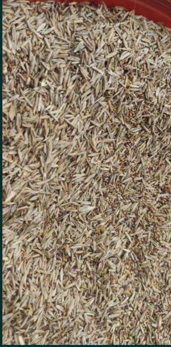 Mieszanka traw na suche Wysyłka