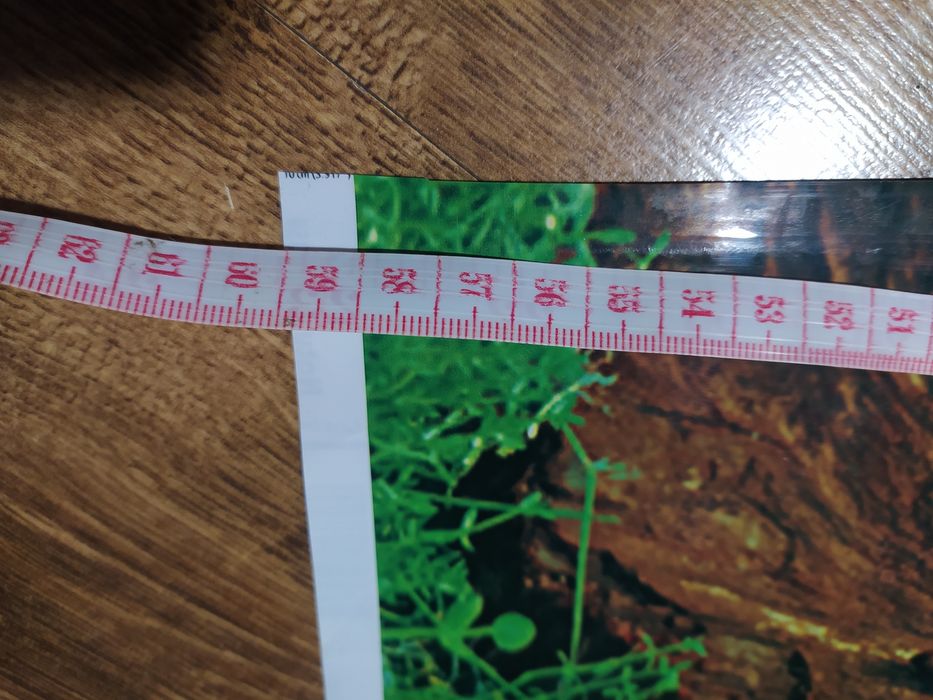 dwustronne tło do akwarium