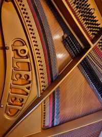 Fortepian Pleyel 130 cm nie Bechstein Steinway
