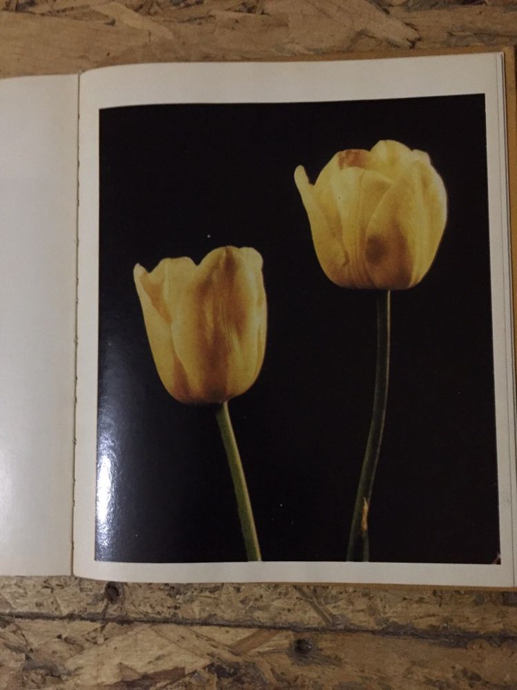 Книга « Цветы»