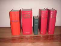 Dicionários Língua Portuguesa, Académico, Português / Alemão / Portug
