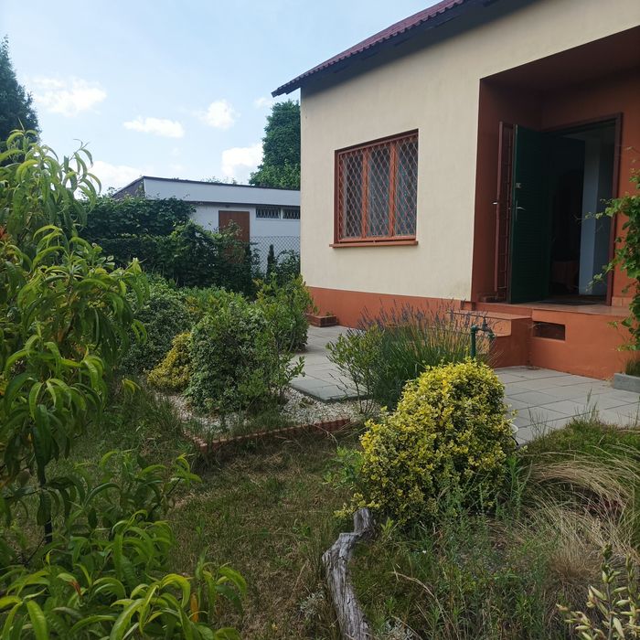 Działka Rod Tysiąclecie zagospodarowana