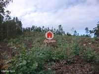 Terreno Florestal de 9.980m2 em Canidelo, Vila do Conde