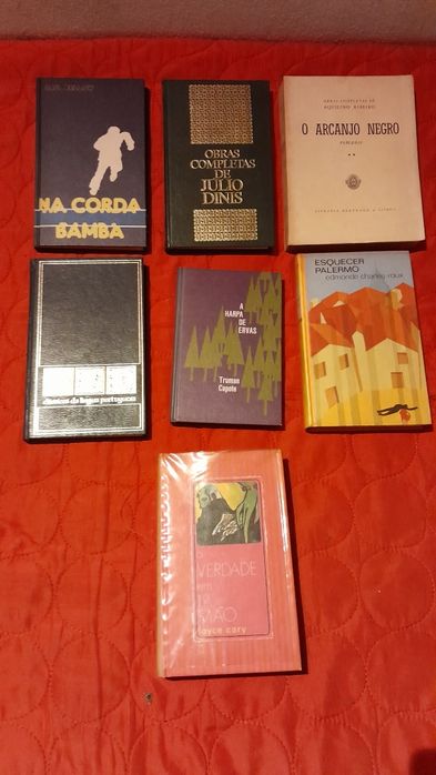 Livros infantis e educativo / livros culturais