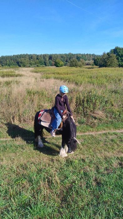 Sprzedam klacz Tinker ze zrebakiem