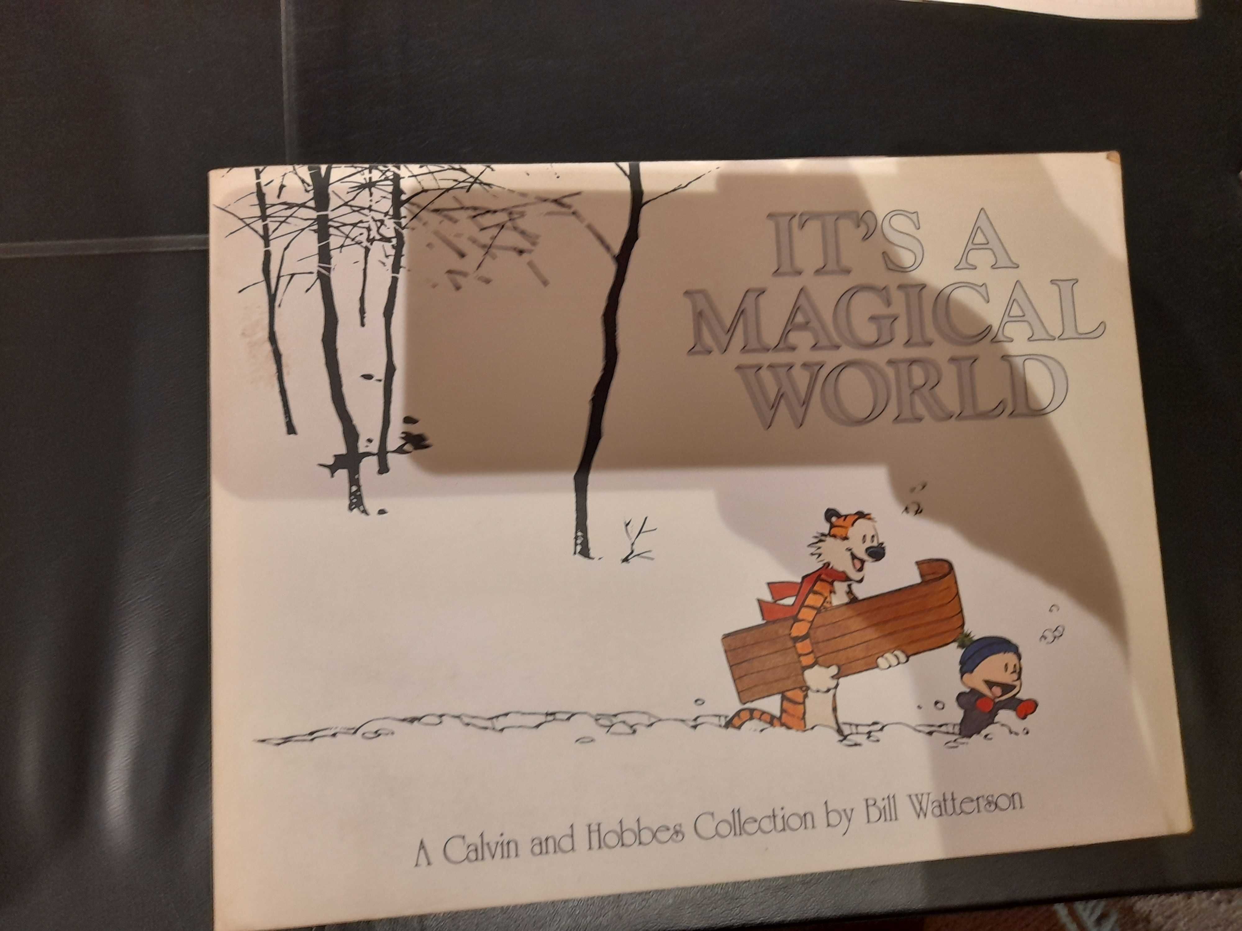 Lote 25 livros inglês literatura