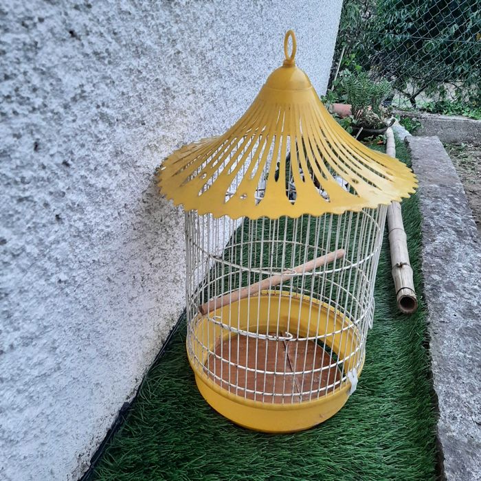 Gaiola passaro estado aceitavel