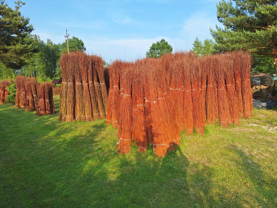 Wiklina sucha sortowana