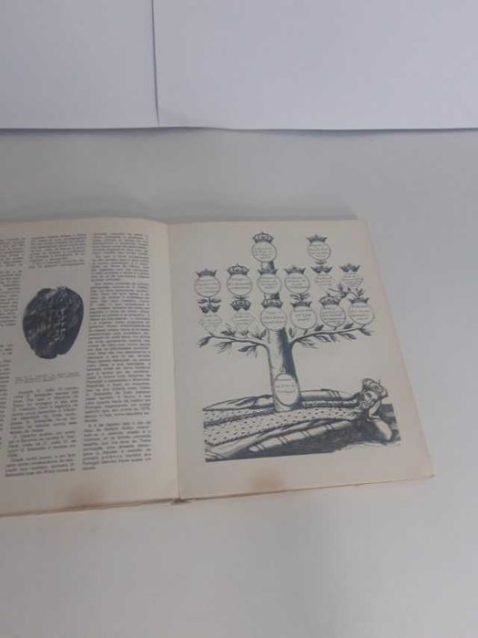 História de Portugal