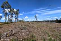 Terreno para construção c/ 4.844m2 localizado em Cristelo - Paredes