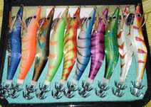Palhaços 10 pesca choco 3.0