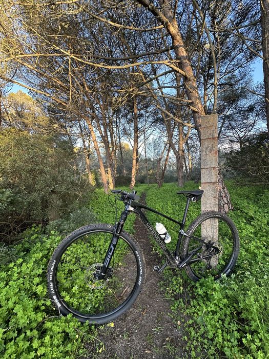 Cannondale scalpel HT Carbon btt