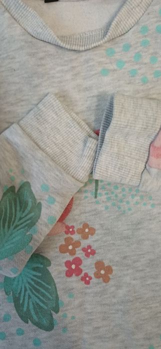 Костюм прогулягковий світшот+ штани на дівчинку 2-3 роки