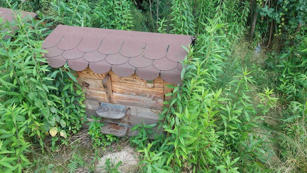 Miód, rodziny pszczele/odkłady, ule warszawskie poszerzane/