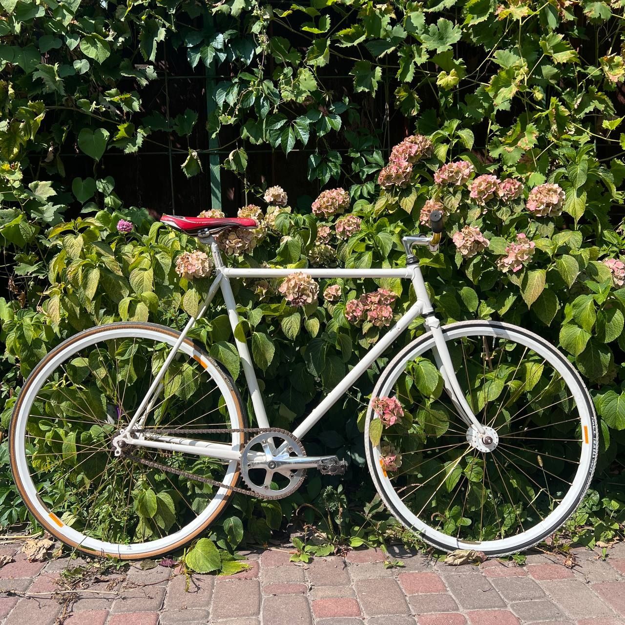 Atala 1979 fixed gear bike