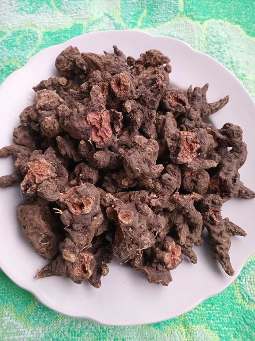 Корінь калгану сушений (перстач)