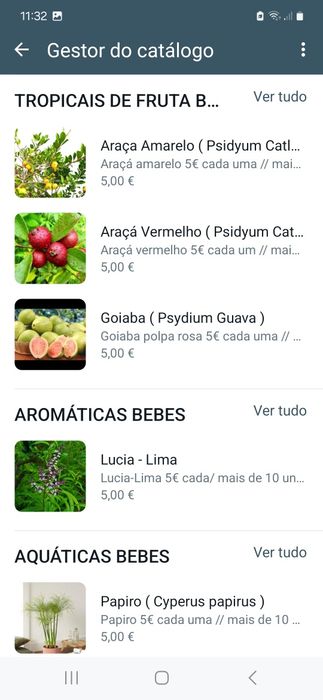 Plantas/Jardins/Utensílios