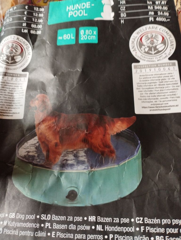 Basen dla psa lub kota
