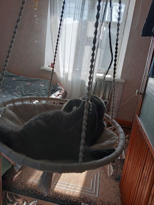 Підвісне ліжко для кота