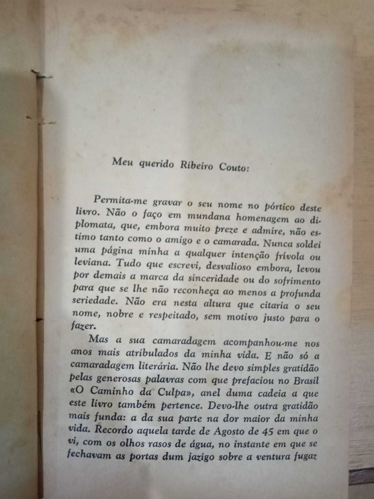 Joaquim Paço d´Arcos, Tons verdes em fundo escuro (Estado Novo)