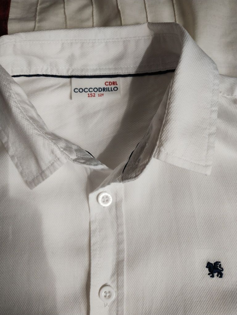 Biała koszula chłopięca coccodrillo 152